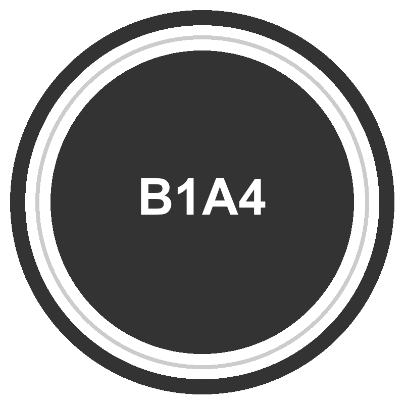 B1A4